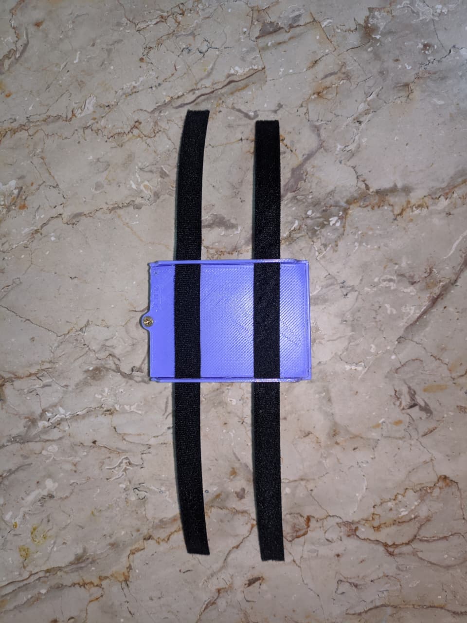 Back View